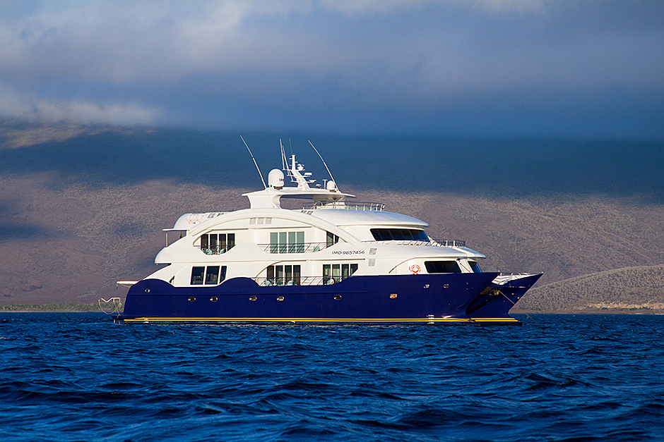 GALC811